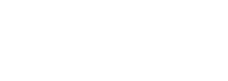Bin Shabib & Partners logo