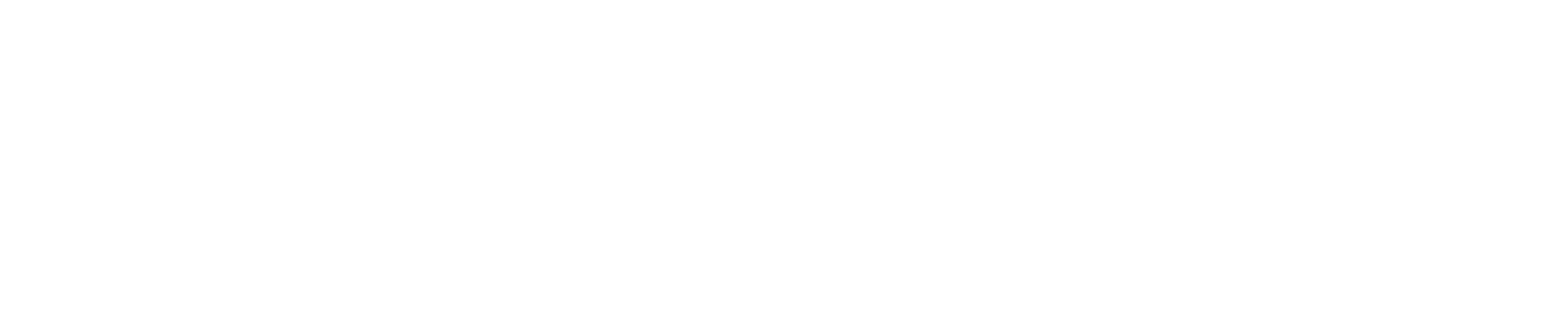 Nguzu Project logo